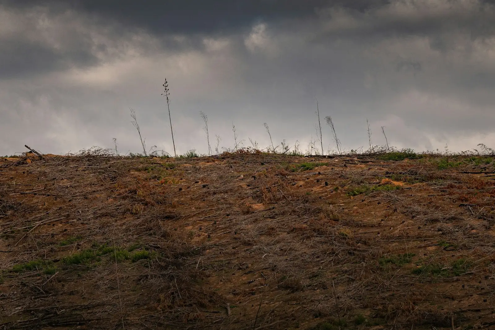 Bare earth lot with sparse grass under dark clouds